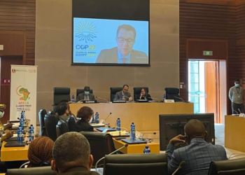 Egypt’s mission to AU holds panel discussion on climate change