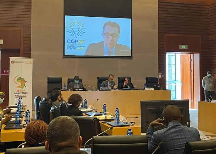 Egypt's Embassy in Ethiopia and its permanent mission to the African Union held a panel discussion on climate change in Africa as part of events organised by the embassy, in cooperation with AU, in preparation for Egypt’s hosting of the UN climate conference, COP27.