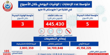 Egypt reports average of daily coronavirus cases at 5