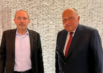 Shoukry, Safadi praise level of distinguished Egyptian-Jordanian ties