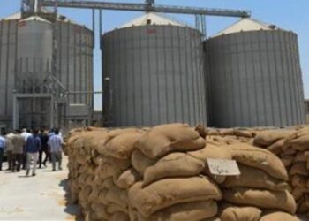Wheat stock enough for nearly 4 months – supply minister