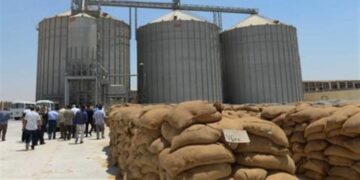 Wheat stock enough for nearly 4 months – supply minister