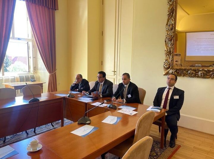 Egypt, Czech Republic discuss co-operation in manufacturing medical supplies 1 - Egyptian Gazette