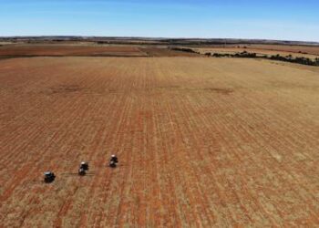 War in Ukraine adds to food price hikes, hunger in Africa