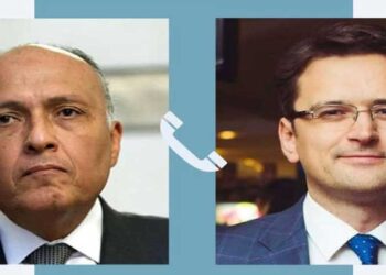 Egypt FM receives phone call from his Ukrainian counterpart