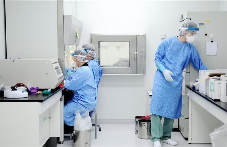 Japan reports over 20,000 new coronavirus cases 2 - Egyptian Gazette Japan reports over 20,000 new coronavirus cases 1 - Egyptian Gazette