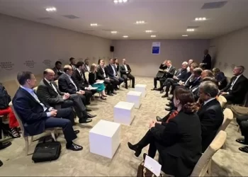 Shoukry, CEO of BCG discuss role of private sector in int’l climate action