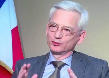 French envoy to Egypt hails distinguished relationship between Sisi, Macron