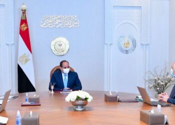 Sisi calls for optimising economic efficiency, competitiveness of agricultural production