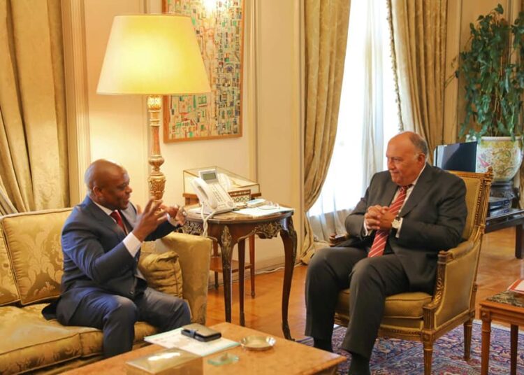 Egypt's FM, D-8 chief discuss promoting cooperation 1 - Egyptian Gazette Egyptian Foreign Minister Sameh Shoukry (R) had talks on Saturday with Secretary General of the D-8 Organization for Economic Cooperation Isiaka AbulKadir Imam on means of enhancing cooperation.
