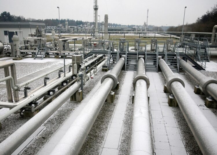 Wingas said it is one of the companies that no longer receive gas from Russia due to sanctions imposed by Moscow.