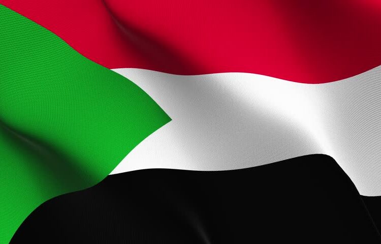 Delegation of Egyptian civil society visits Sudan 1 - Egyptian Gazette