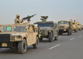 EU ambassadors support Egypt against terrorism