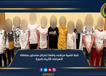 Boys responsible of harassing two tourists near pyramids area arrested