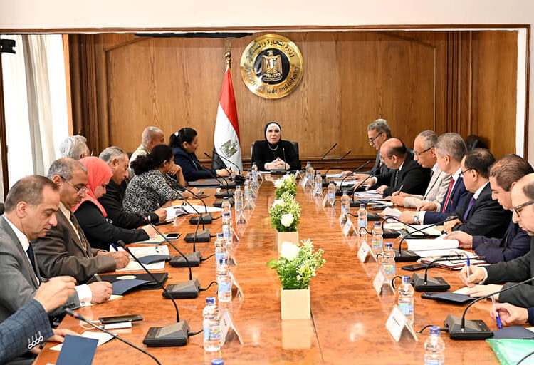 Gamea: Market needs of prosthetics, orthotics should be linked to learning outcomes 1 - Egyptian Gazette