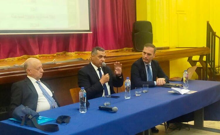 Calls for prevention of cultural heritage theft 1 - Egyptian Gazette