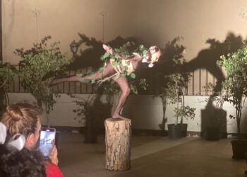 Artists as eco-activists