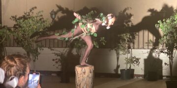 Artists as eco-activists