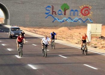 Egypt urges African coordination meeting before climate summit in Sharm