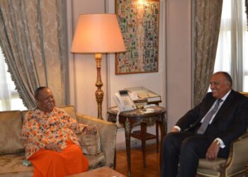 Egypt, S.Africa FMs hold talks after meetings of joint committee