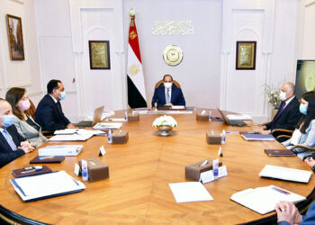 Sisi reviews efforts to tackle impact of global economic crisis