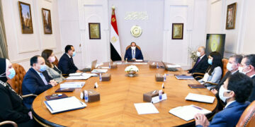 Sisi reviews efforts to tackle impact of global economic crisis