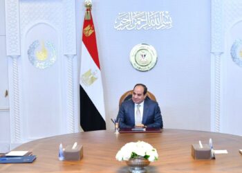 Sisi checks progress of various national health initiatives