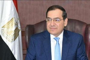 Petroleum Ministry works on facing climate change, decreasing emissions: Petroleum min.