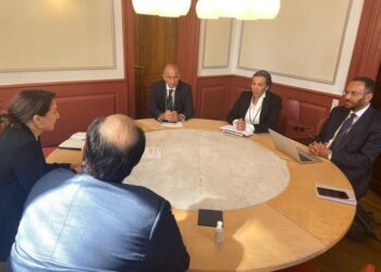 Egypt, UAE probe means to cement bilateral cooperation