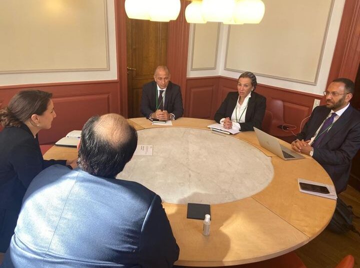 Egypt's Environment Minister Yassmin Fouad has discussed with her UAE counterpart Mariam Almheiri means to strengthen bilateral cooperation in the environment and climate domains.