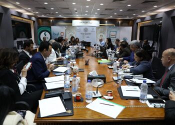 National Alliance for Civil Development