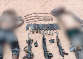 Armed Forces launch deadly strikes against terrorists in N. Sinai