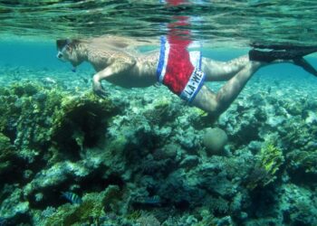 Egypt marks International Day for Biological Diversity