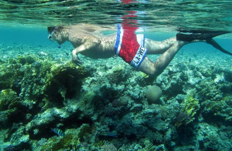 Egypt marks International Day for Biological Diversity 1 - Egyptian Gazette