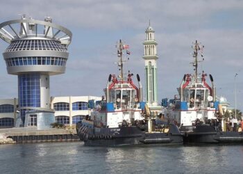 26 container, cargo ships handled at Damietta Port