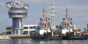 26 container, cargo ships handled at Damietta Port