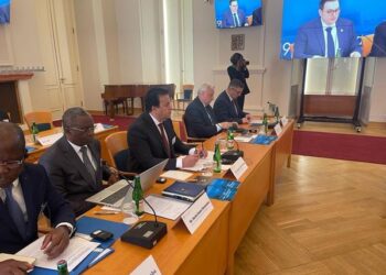 ‘Egypt working hard to improve healthcare for all’