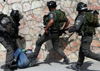Israeli occupation forces detain 8 Palestinians in West Bank