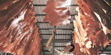 Leather exports up 27.2% in first three months of 2022 1 - Egyptian Gazette Leather exports up 27.2% in first three months of 2022