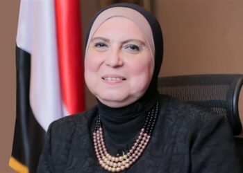 Trade minister: Egyptian side to Egyptian-Polish business council formed