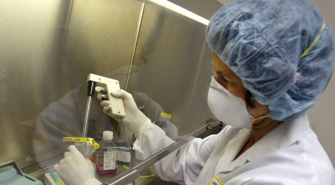 Recent cases of money pox atypical - WHO 1 - Egyptian Gazette