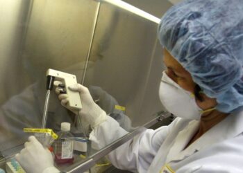 Recent cases of money pox atypical – WHO