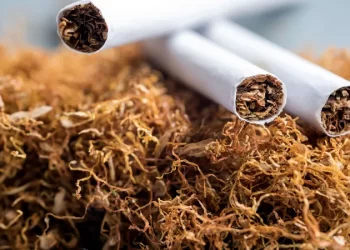 Arab League: Tobacco kills 8 mln people every year
