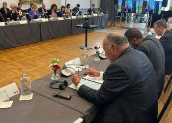 Shoukri partakes in Sweden-hosted meeting on climate action
