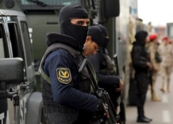 Security source denies Brotherhood claims on link between Aswan fraudster, policeman