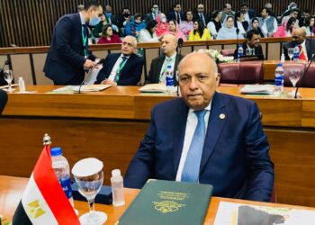 Egypt FM, Fatah official discuss latest Palestinian developments