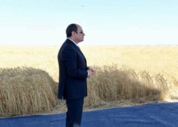 Assistant agriculture minister: “Egypt Future” project achieves self-sufficiency of crops