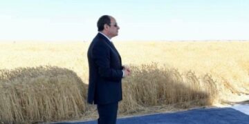 Assistant agriculture minister: “Egypt Future” project achieves self-sufficiency of crops