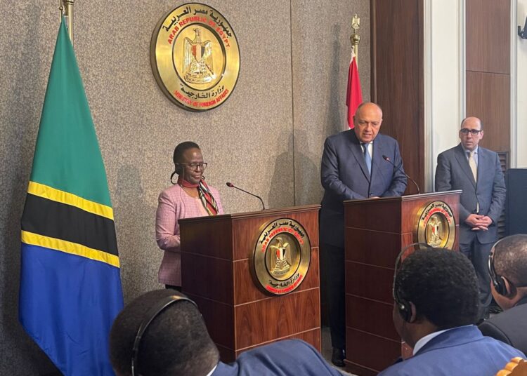 Egyptian, Tanzanian FMs hail profound relations in different fields 1 - Egyptian Gazette