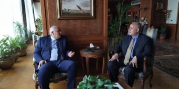 Irrigation min., New Valley governor review water projects in governorate